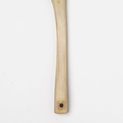 Ibuki Kaiyama Spoon of Branchese M Japanese Cucumber tree
