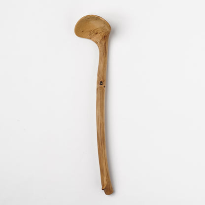 Ibuki Kaiyama Spoon of Branchese M Kashiwa Oak tree