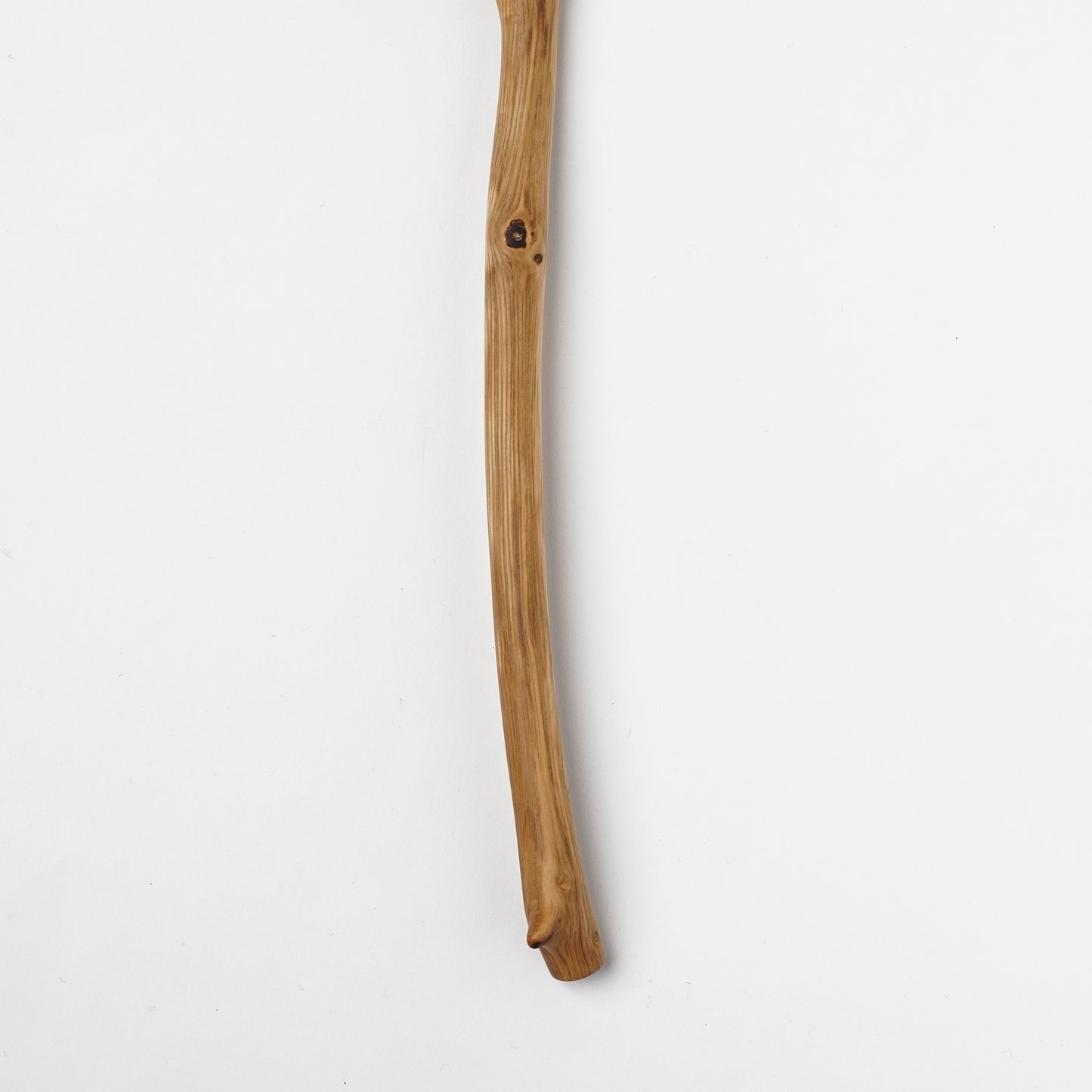 Ibuki Kaiyama Spoon of Branchese M Kashiwa Oak tree