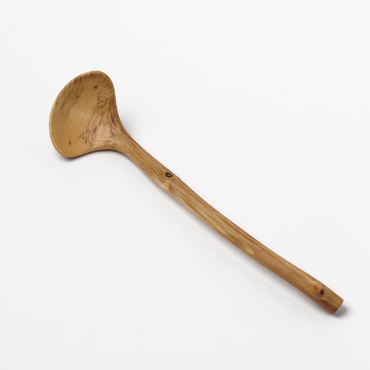Ibuki Kaiyama Spoon of Branchese M Kashiwa Oak tree