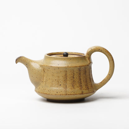 Toshinobu Araya Ryukakugama Tea Pot