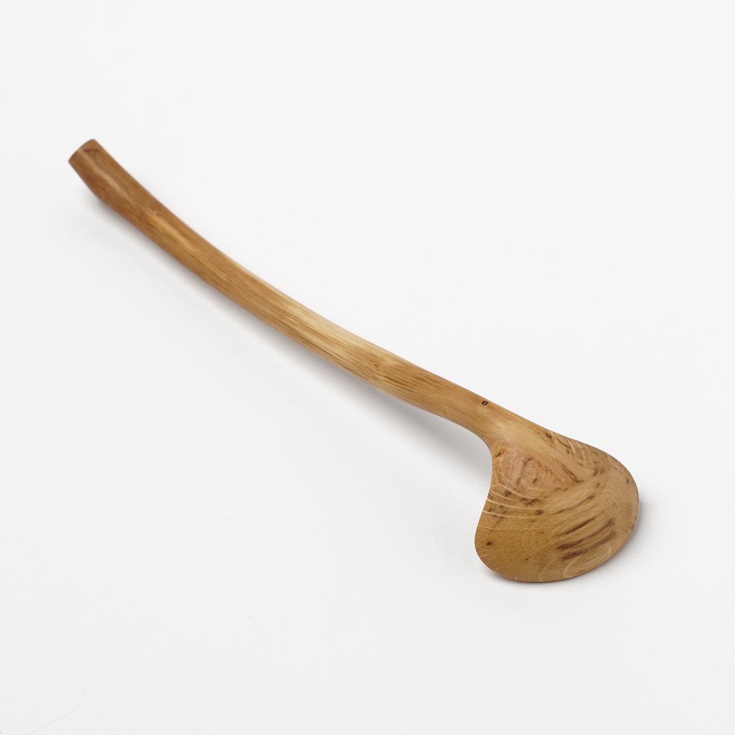 Ibuki Kaiyama Spoon of Branchese M Kashiwa Oak tree