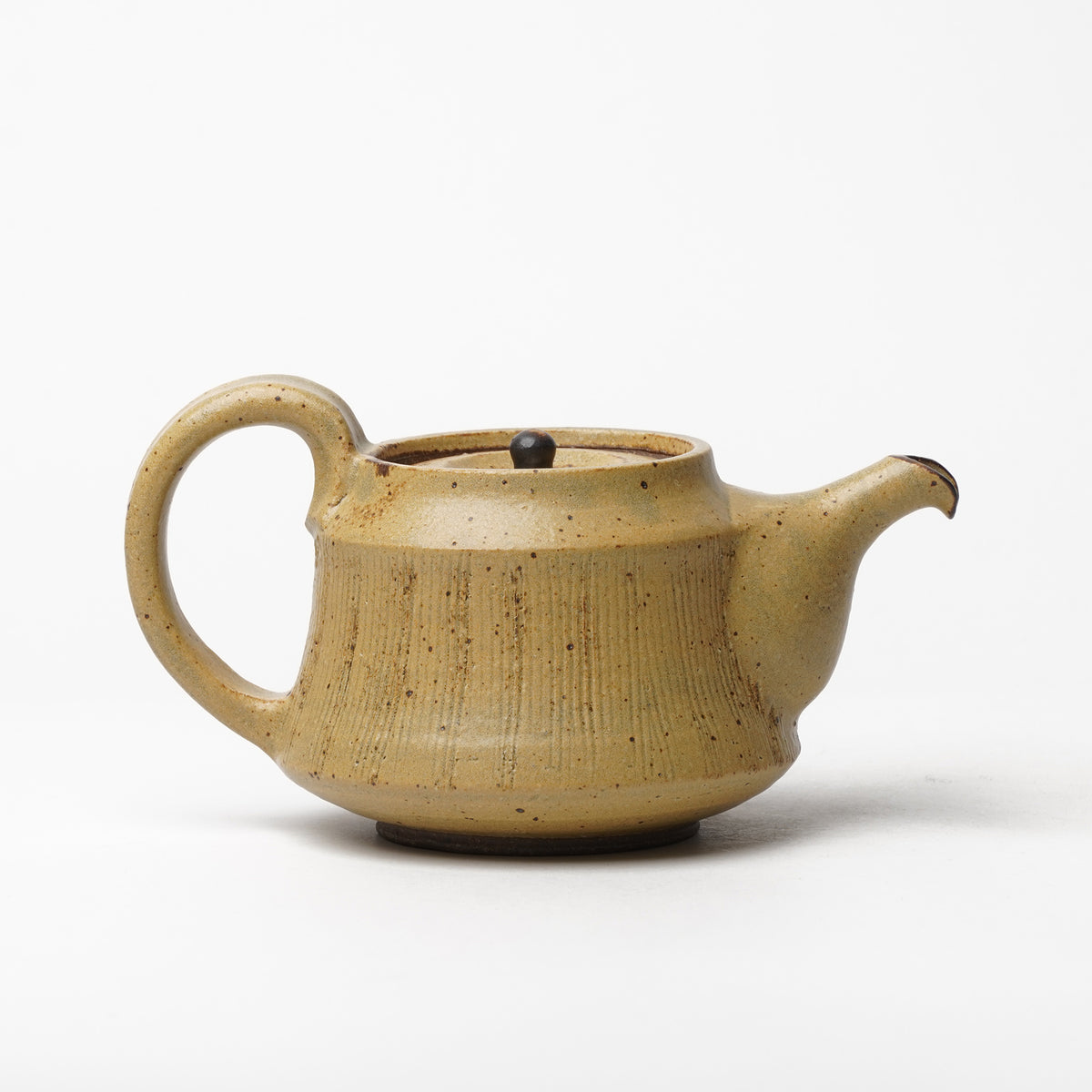 Toshinobu Araya Ryukakugama Tea Pot