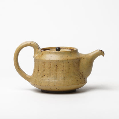 Toshinobu Araya Ryukakugama Tea Pot