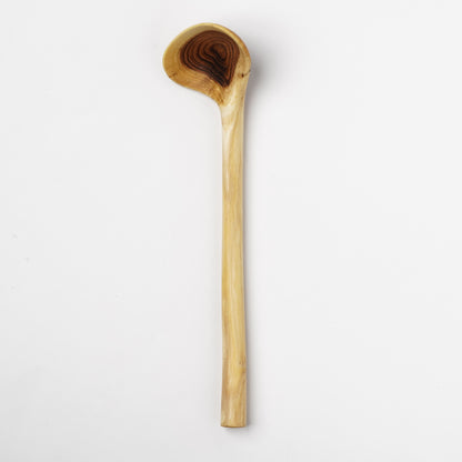 Ibuki Kaiyama Spoon of Branchese M Japanese Pegoda tree