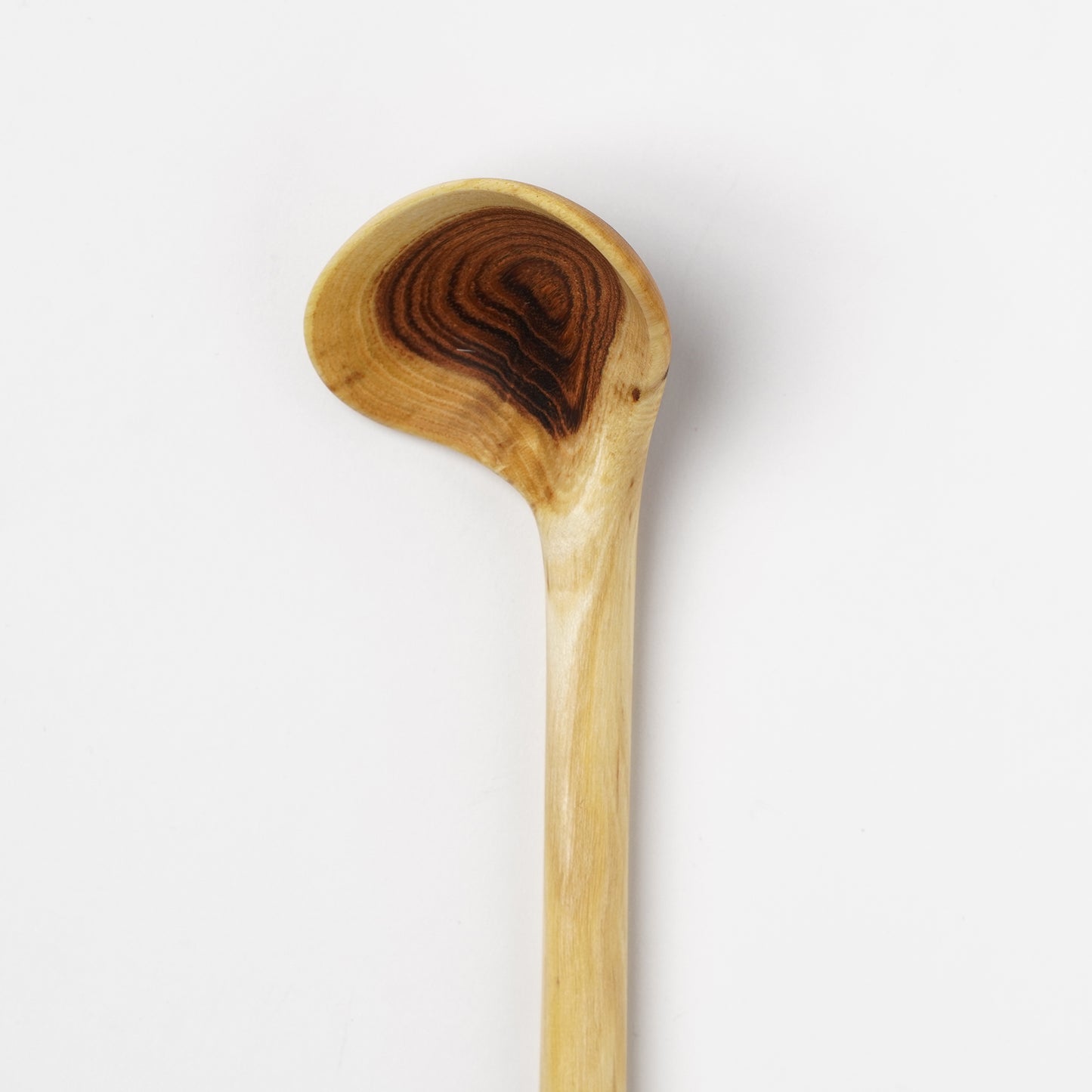 Ibuki Kaiyama Spoon of Branchese M Japanese Pegoda tree