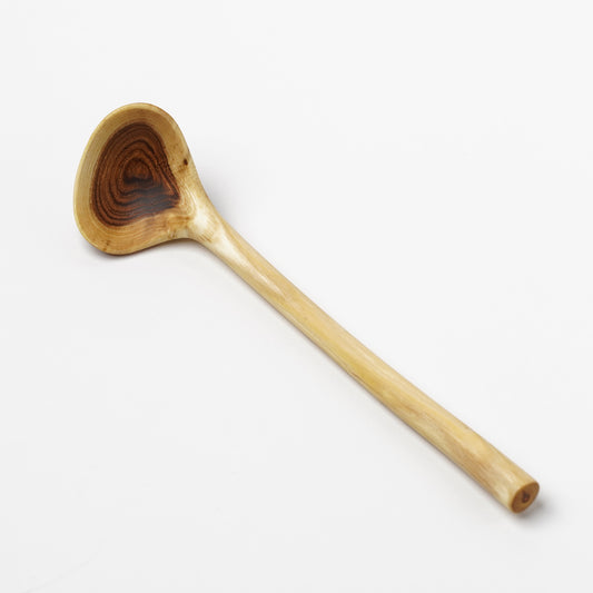 Ibuki Kaiyama Spoon of Branchese M Japanese Pegoda tree