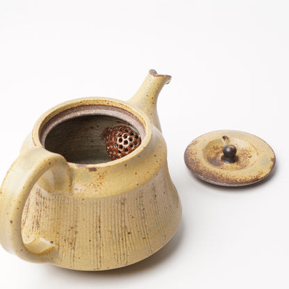 Toshinobu Araya Ryukakugama Tea Pot