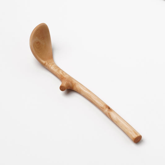 Ibuki Kaiyama Spoon of Branchese M Japanese Mountain Maple tree