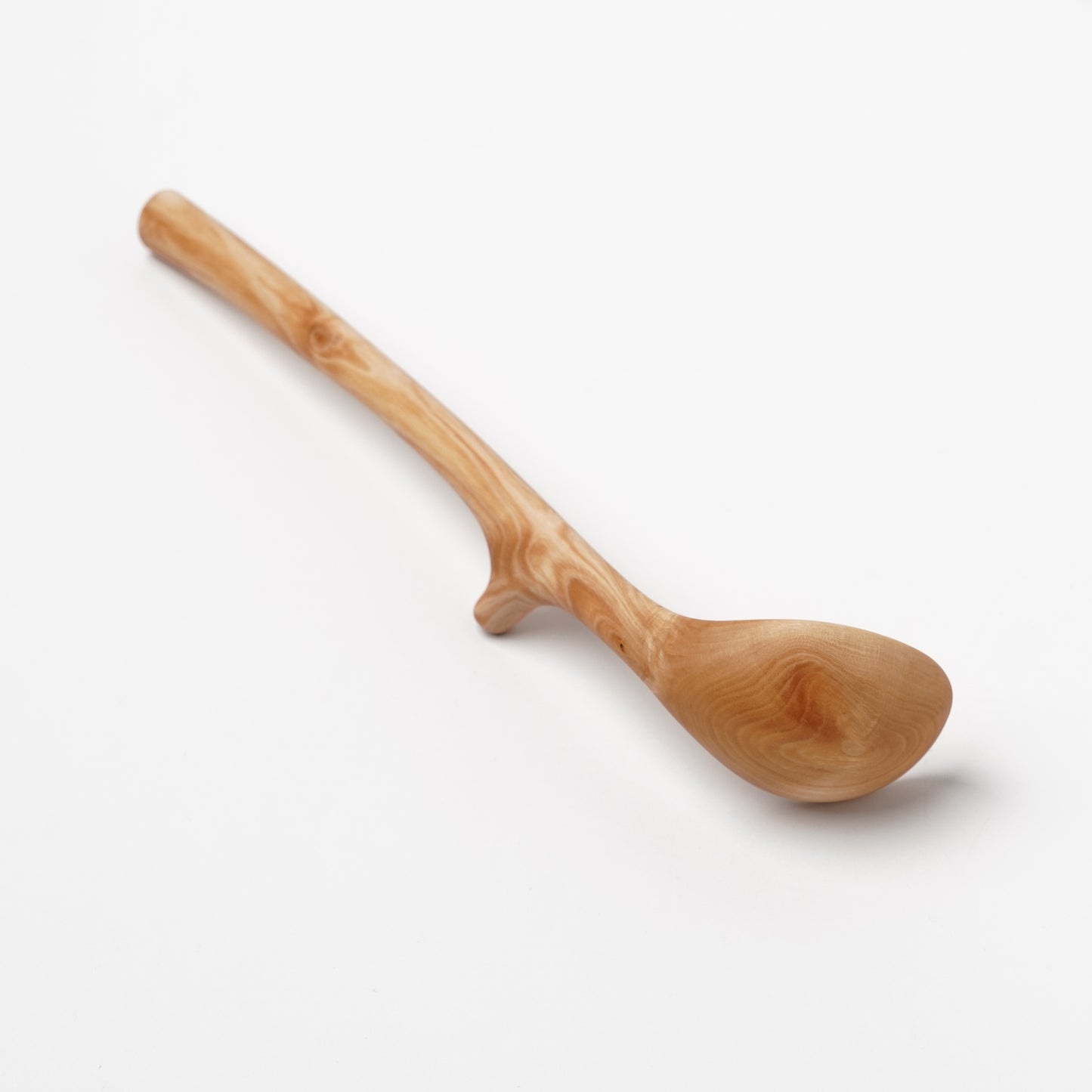 Ibuki Kaiyama Spoon of Branchese M Japanese Mountain Maple tree