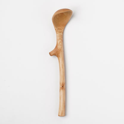 Ibuki Kaiyama Spoon of Branchese M Japanese Mountain Maple tree