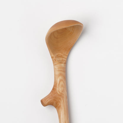 Ibuki Kaiyama Spoon of Branchese M Japanese Mountain Maple tree