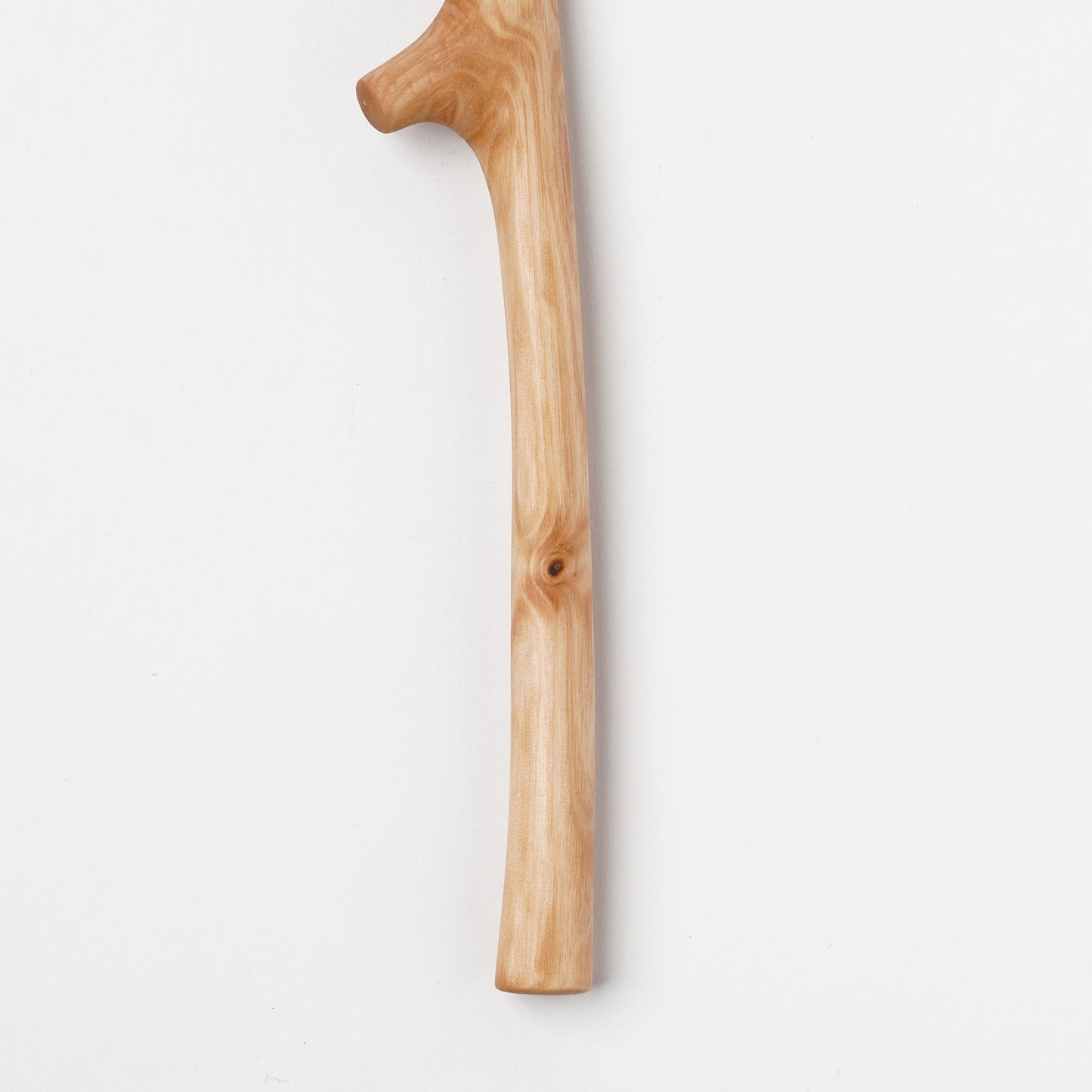 Ibuki Kaiyama Spoon of Branchese M Japanese Mountain Maple tree