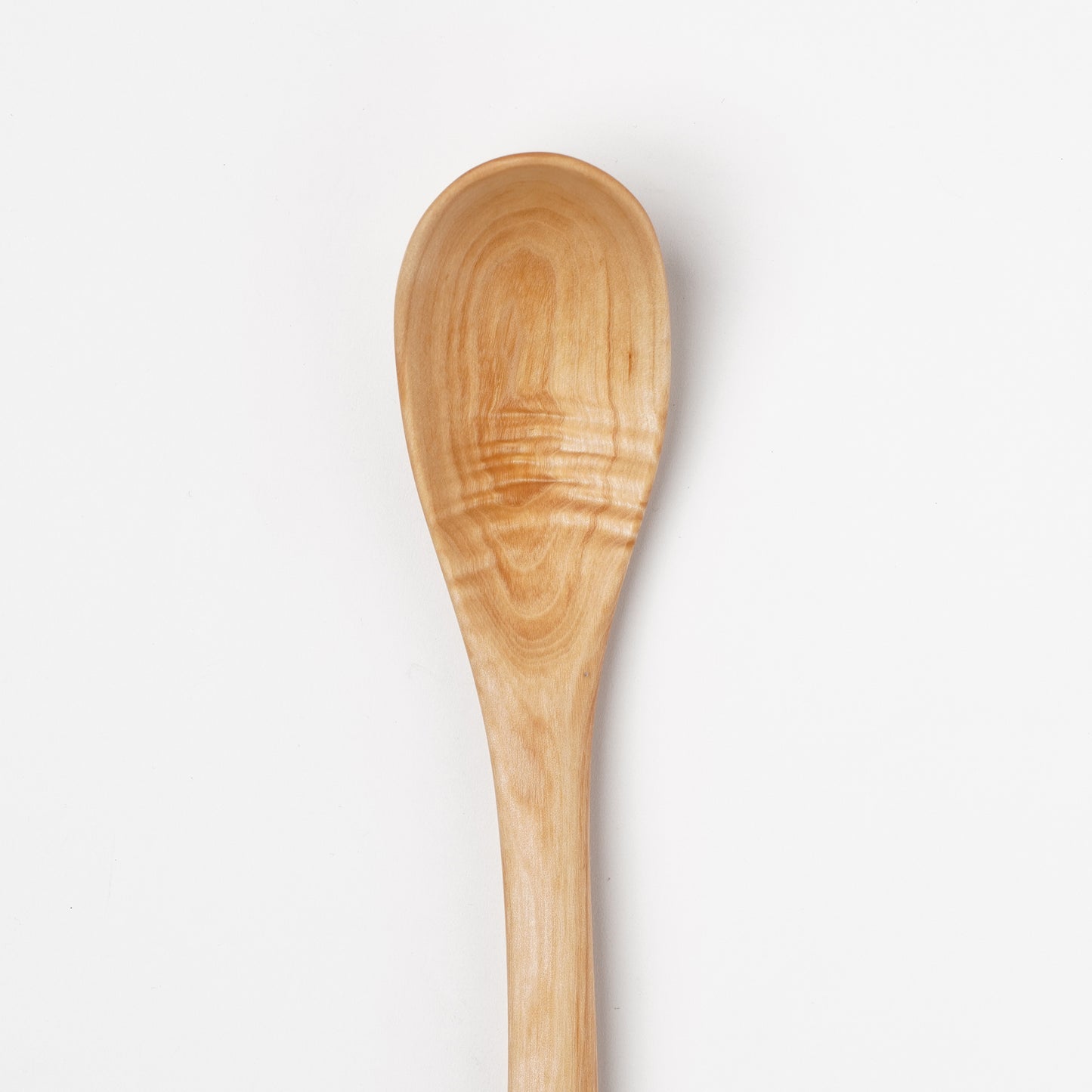 Ibuki Kaiyama Spoon of Branchese L Japanese Mountain Maple tree