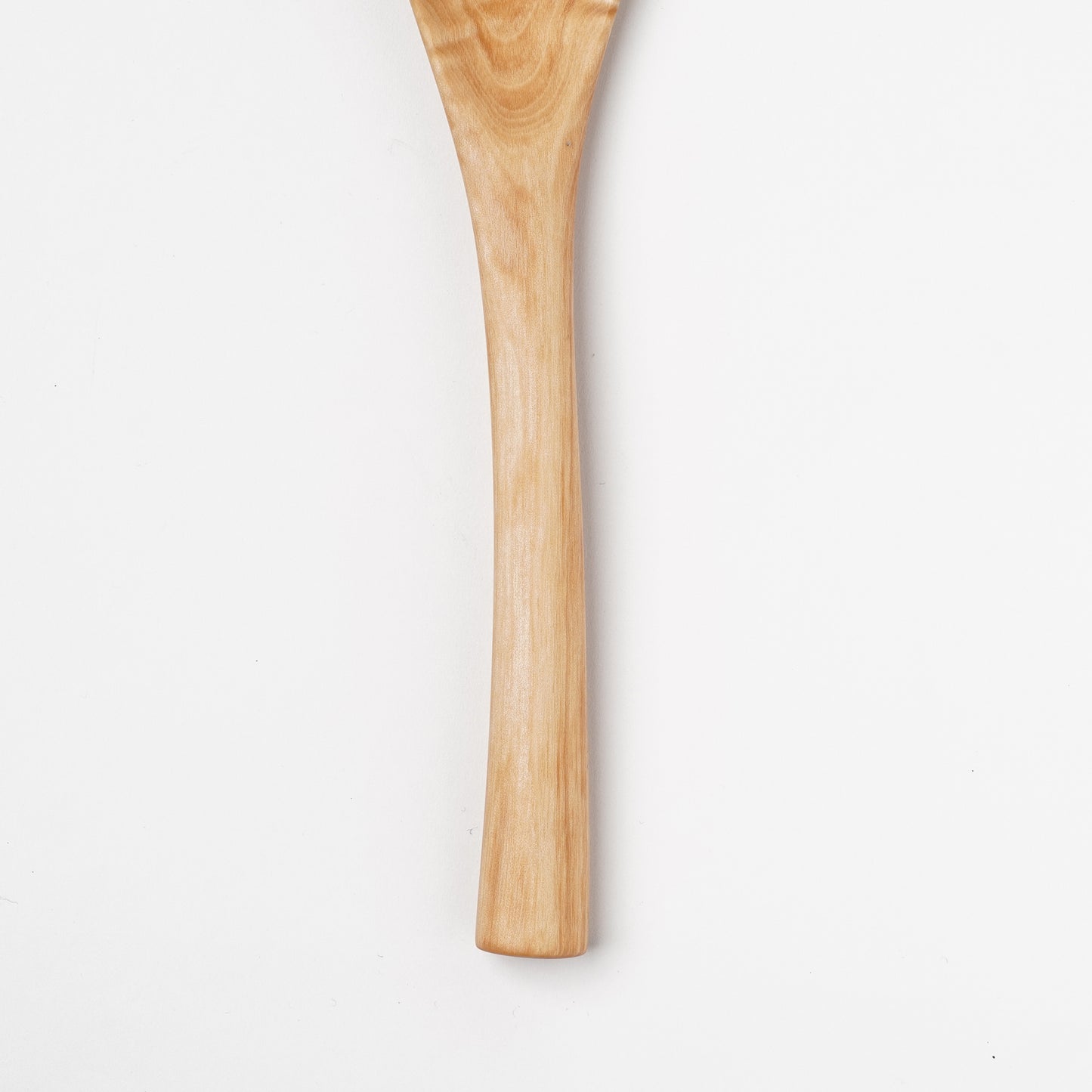 Ibuki Kaiyama Spoon of Branchese L Japanese Mountain Maple tree