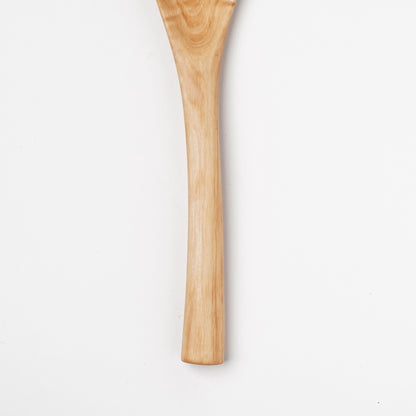 Ibuki Kaiyama Spoon of Branchese L Japanese Mountain Maple tree
