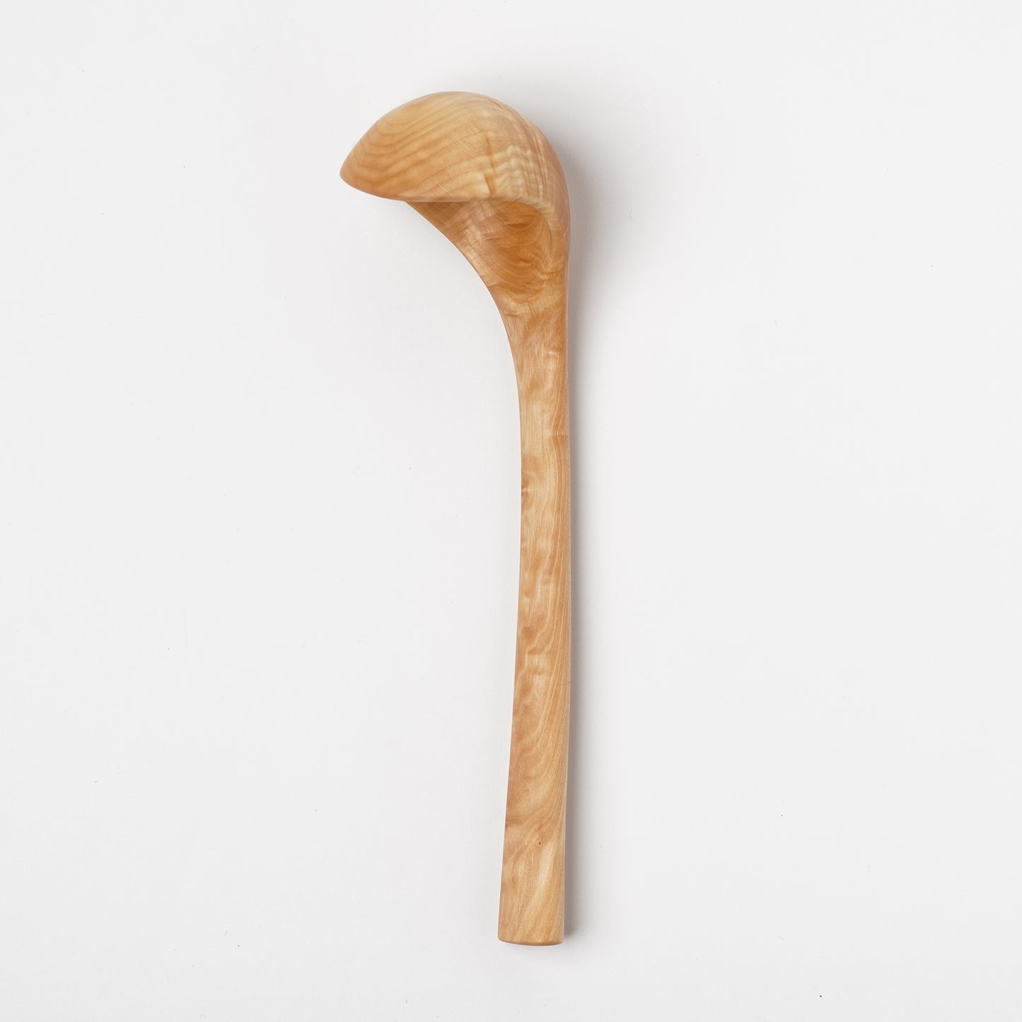 Ibuki Kaiyama Spoon of Branchese L  Japanese Mountain Maple tree