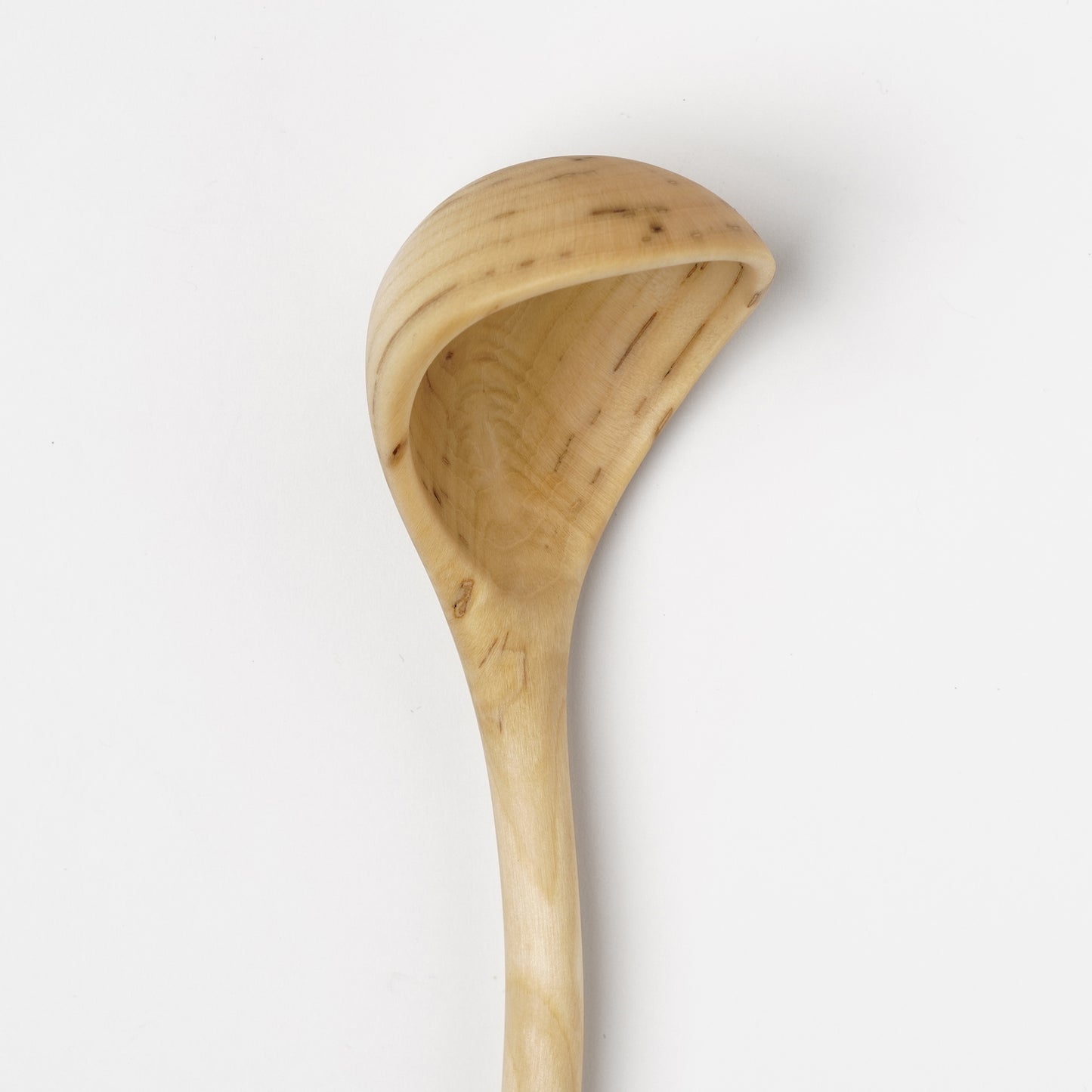 Ibuki Kaiyama Spoon of Branchese L Japanese Cucumber tree