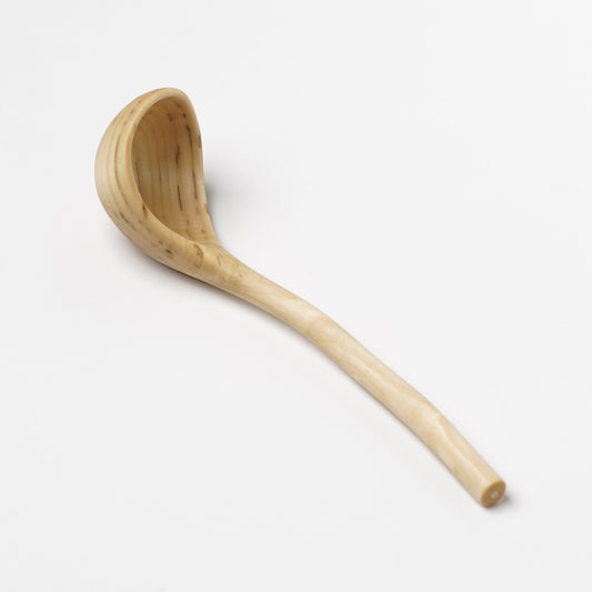 Ibuki Kaiyama Spoon of Branchese L Japanese Cucumber tree