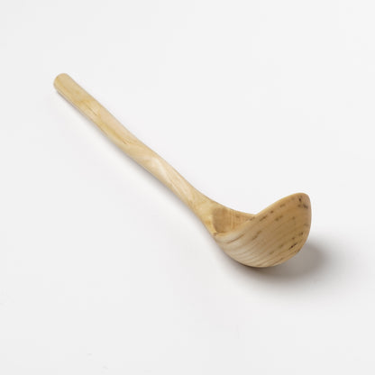 Ibuki Kaiyama Spoon of Branchese L Japanese Cucumber tree