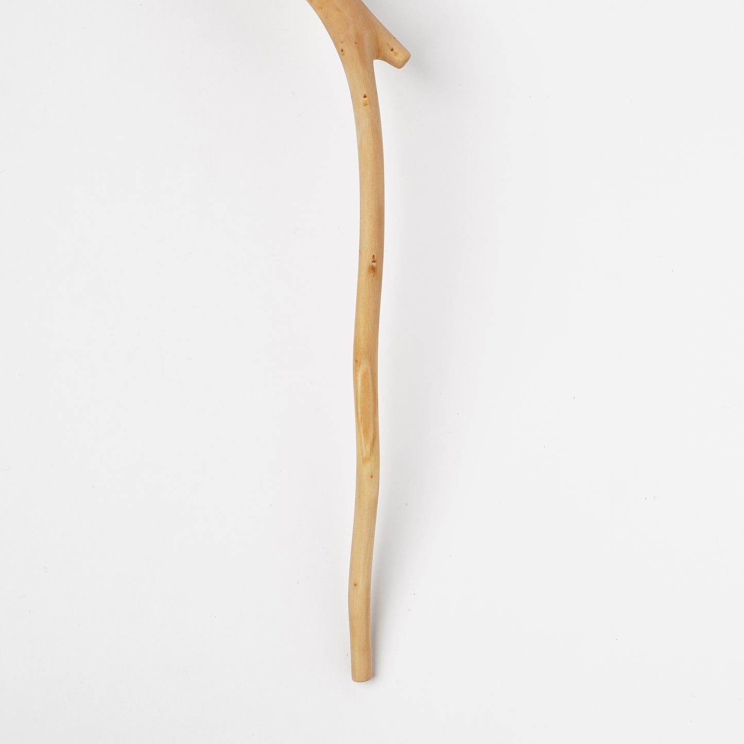 Ibuki Kaiyama Spoon of Branchese L Yoshino Cherry tree