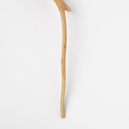 Ibuki Kaiyama Spoon of Branchese L Yoshino Cherry tree