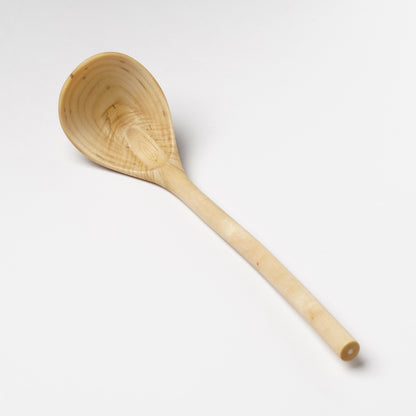 Ibuki Kaiyama Spoon of Branchese 2L Japanese Cucumber tree