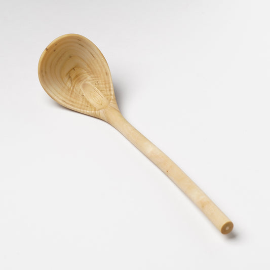 Ibuki Kaiyama Spoon of Branchese 2L Japanese Cucumber tree