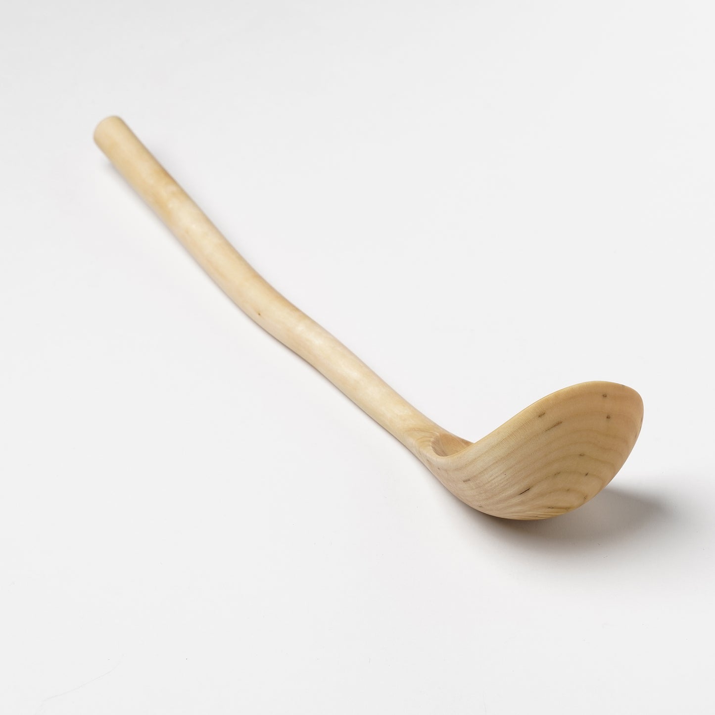 Ibuki Kaiyama Spoon of Branchese 2L Japanese Cucumber tree