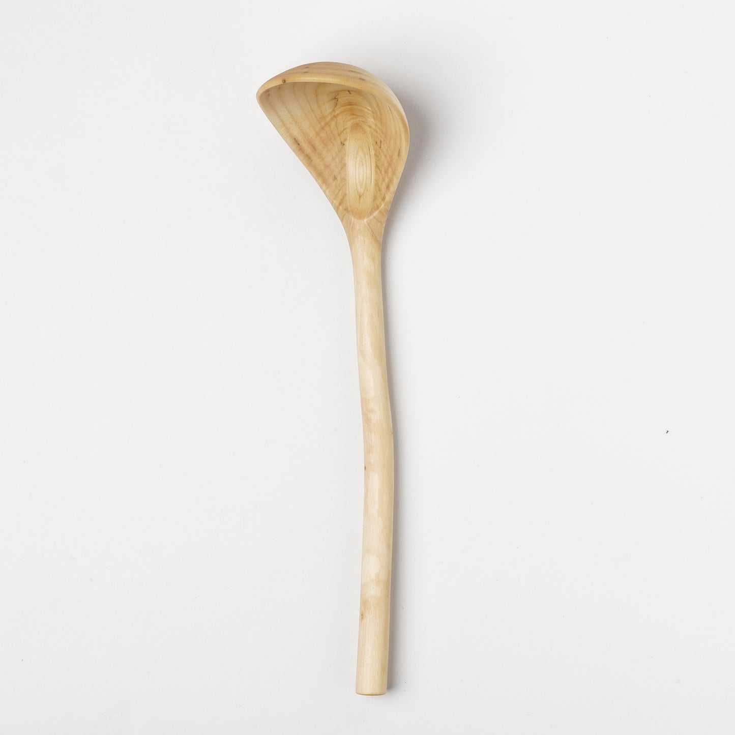 Ibuki Kaiyama Spoon of Branchese 2L Japanese Cucumber tree