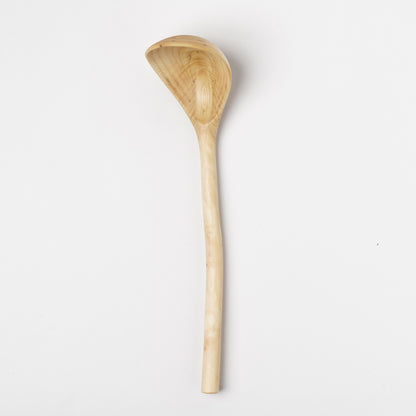 Ibuki Kaiyama Spoon of Branchese 2L Japanese Cucumber tree