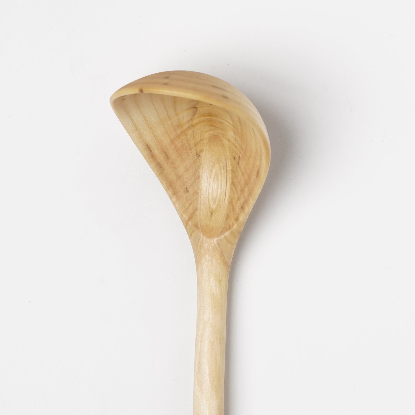 Ibuki Kaiyama Spoon of Branchese 2L Japanese Cucumber tree