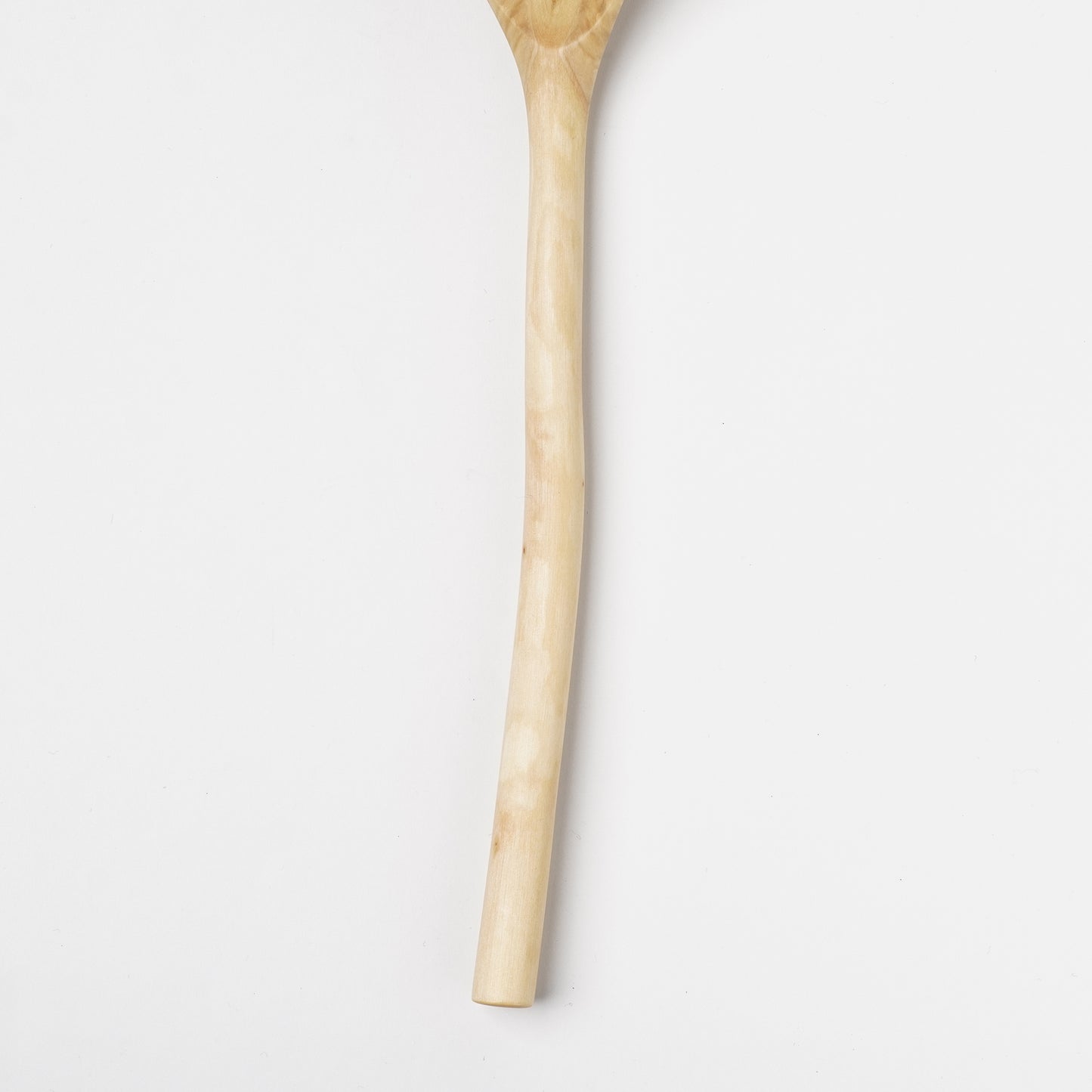 Ibuki Kaiyama Spoon of Branchese 2L Japanese Cucumber tree