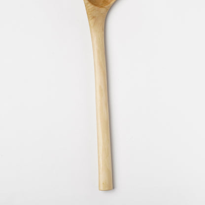Ibuki Kaiyama Spoon of Branchese 3L Japanese Cucumber tree