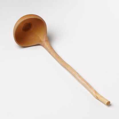 Ibuki Kaiyama Spoon of Branchese 3L Japanese Mountain Cherry tree