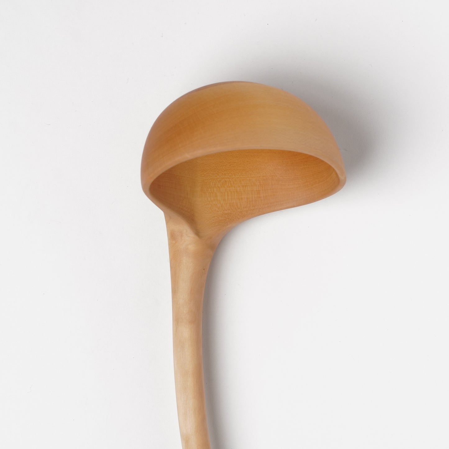 Ibuki Kaiyama Spoon of Branchese 3L Japanese Mountain Cherry tree