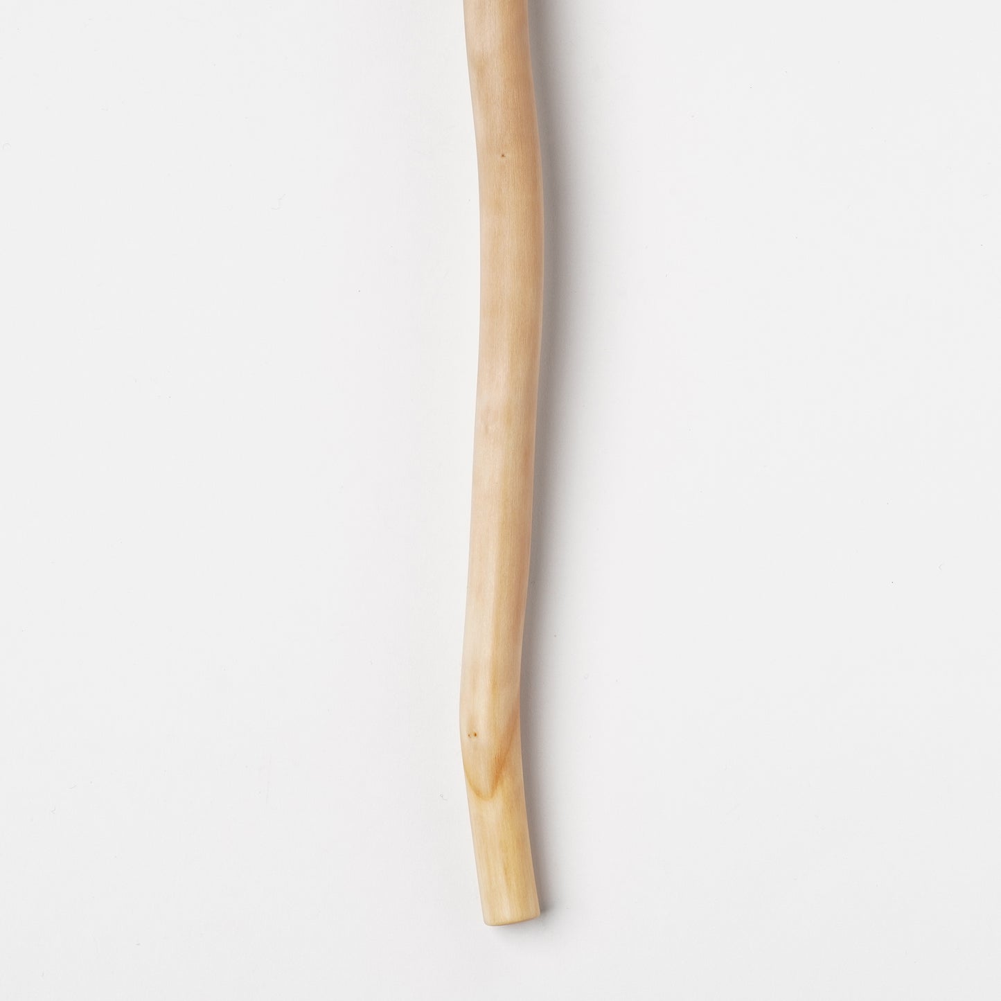 Ibuki Kaiyama Spoon of Branchese 3L Japanese Mountain Cherry tree