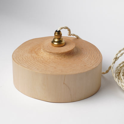 Ibuki Kaiyama Pendant Light of Branchese L Japanese White Birch tree