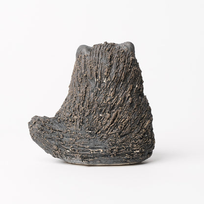 Shigarakiyaki Ceramic Cat
