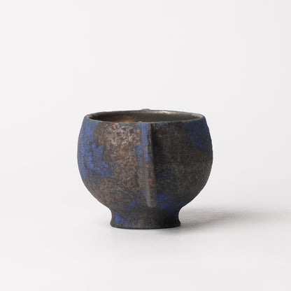 Yusuke Wakasa Cup with Platinum