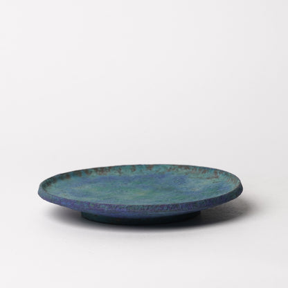 Yusuke Wakasa Edge Plate