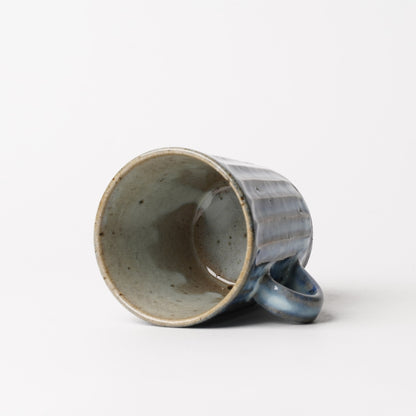 Shigarakiyaki Mug