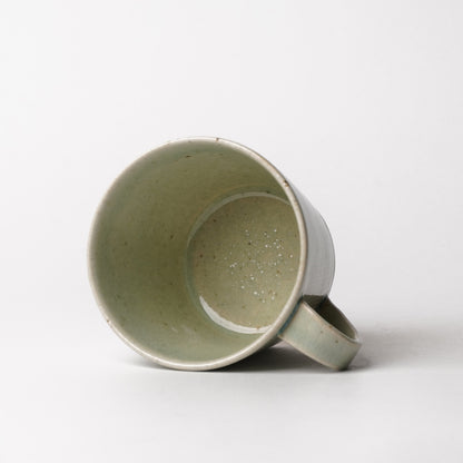 Shigarakiyaki Mug