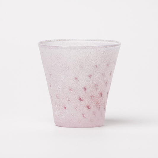 Nomichi Hashimura Cup