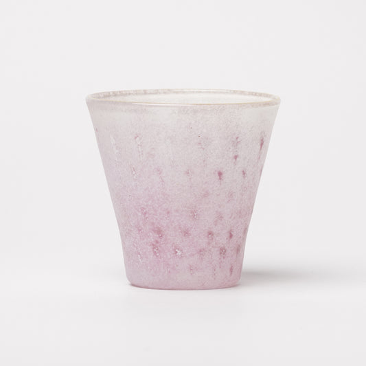 Nomichi Hashimura Cup