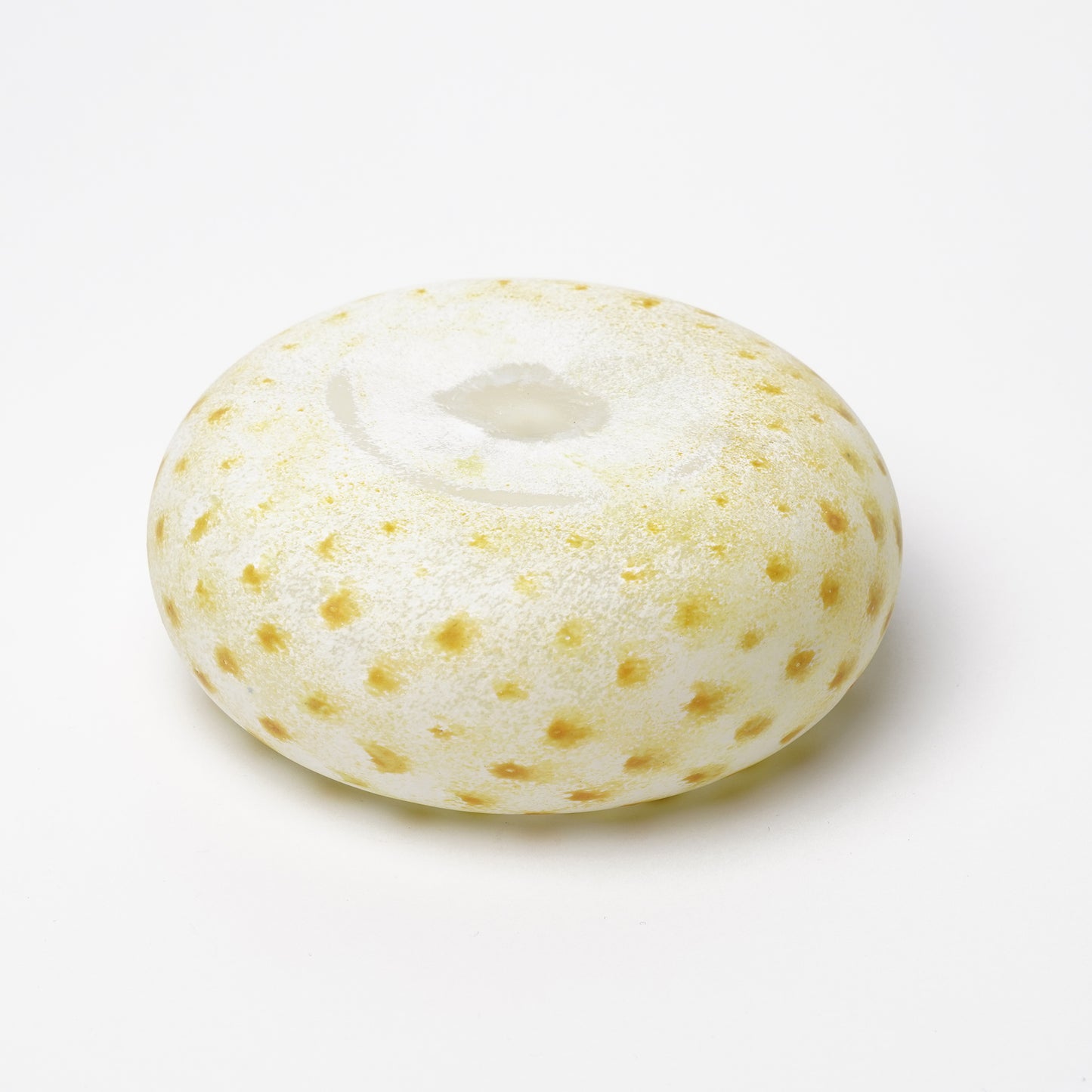 Nomichi Hashimura Plate