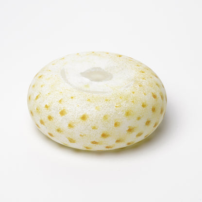 Nomichi Hashimura Plate