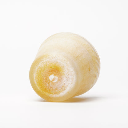 Nomichi Hashimura Cup