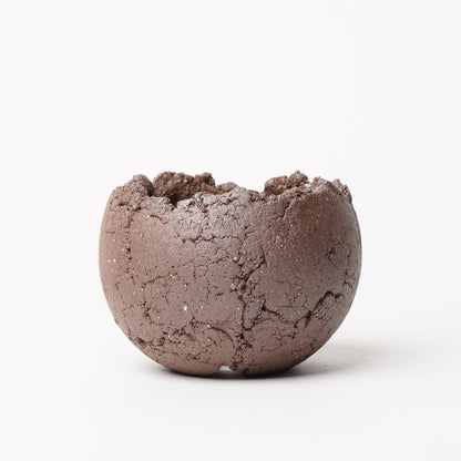 Shota Miyashita Plant Pot