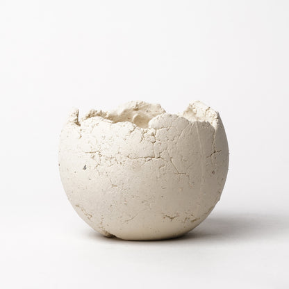 Shota Miyashita Plant Pot